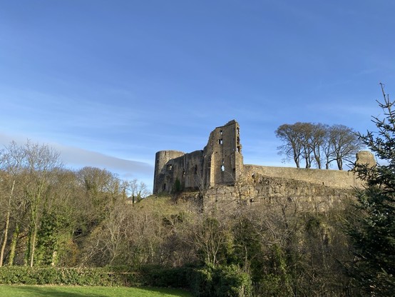 A castle ruin on a hillside in the mid-distance, trees, hedges and a grassed area in the foreground.