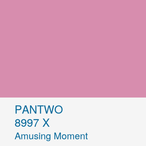 PANTWO color name: Amusing Moment; Pantwo Matching System number: 8997 X; RGB (215, 141, 174)