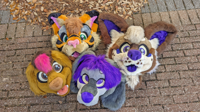 Four fursuit heads sitting in a pile on the ground outside