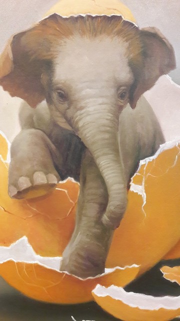 a close-up of the elephant's face, his one leg resting on the edge of the shell, the other hanging over it, the elephant is looking to the right a little bit