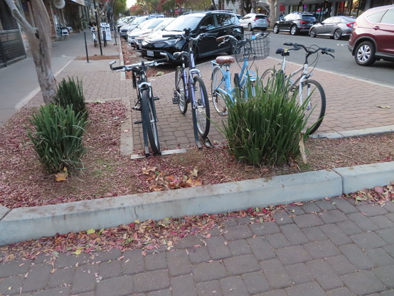 Inaccessible "lightning bolt" rack design is on a bulb-out constructed for pavers. The rack of 4 is really only a rack of 2 for those who don't ride a certain range of upright bicycle designs. In this case it's a rack of 1 because the rack was installed so close to a street tree well curb that it's rendered even more inaccessible.