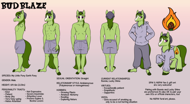 Hints at drug use. SFW Reference sheet of a male My Little Pony Earth Pony, both quadruped (feral) and anthropomorphic