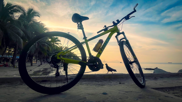A bicycle next to the beach in the early morning with a pigeon silhouetted next to it.