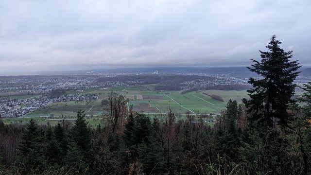 View down over Basel. Trees in the foreground, grey sky.