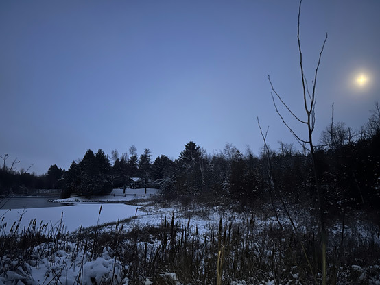 The hazy moon is going down above the trees beside a pond, partially covered with snow. It looks cold and is cold.