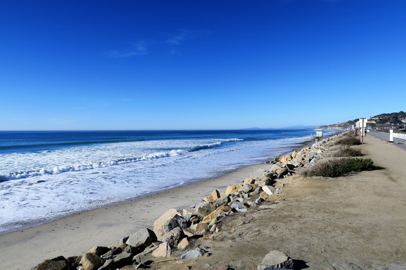 Pacific Shore