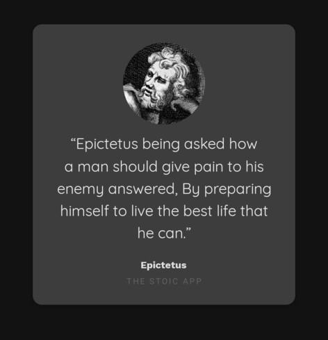 “Epictetus being asked how a man should give pain to his enemy answered, By preparing himself to live the best life that he can.”

By Epictetus