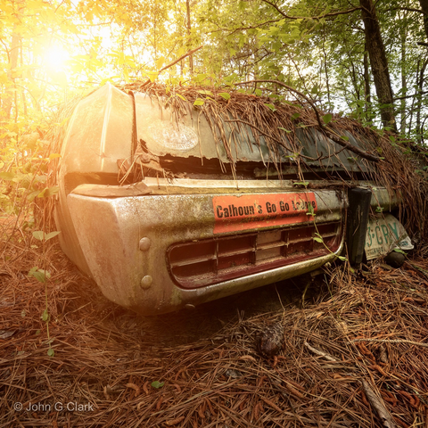Rear bumper close up of an abandoned car in the forest. The bumper sticker for Calhounâ€™s Go Go Lounge looks near new