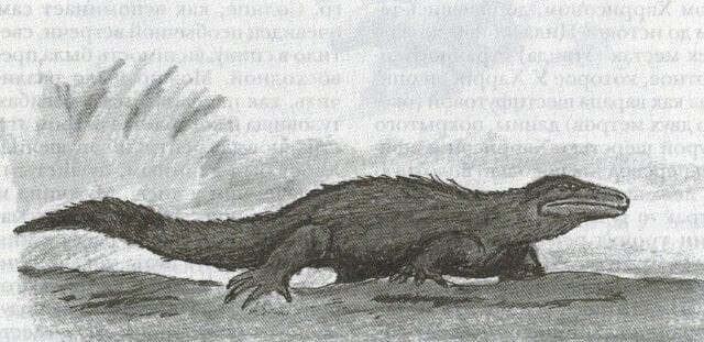 Velichko's hairy monitor is a Malian cryptid described as a 2m (6ft) long lizard. In one sighting, a man saw it emerge from a ravine and cross the road. He witnessed it for about five minutes, and described it having chocolate brown hair.