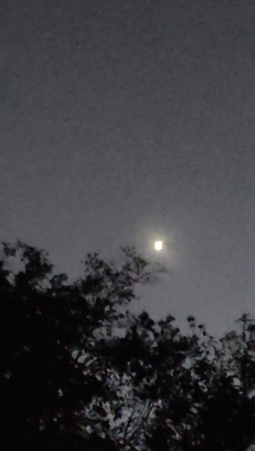 UFO or Space X? Filmed in Fort Worth, TX October 13, 2023 at 7:36pm CT with a Motorola Razr+