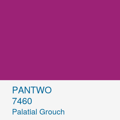 PANTWO color name: Palatial Grouch; Pantwo Matching System number: 7460 ; RGB (156, 34, 118)