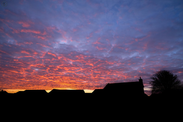 Orange coloured clouds from breaking dawn with silhouette of farmland and buildings in foreground