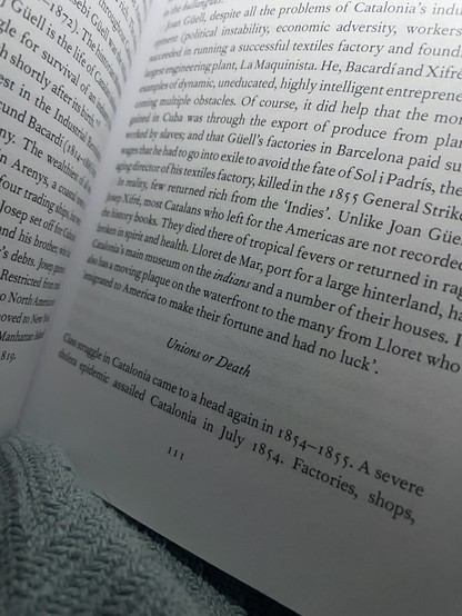 The bottom of a page of the book dimly lit shows the aforementioned title, third line from the bottom. With dense text above and on the portion of the facing page that is visible.