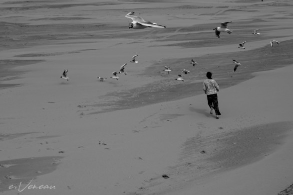 A teenage girl from behind runs on a beach where we only see the sand. In front of her, around her, above her, the seabirds take flight.