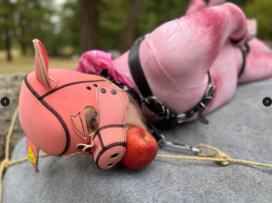 Pig costume with apple in mouth, bondaged down to rock.