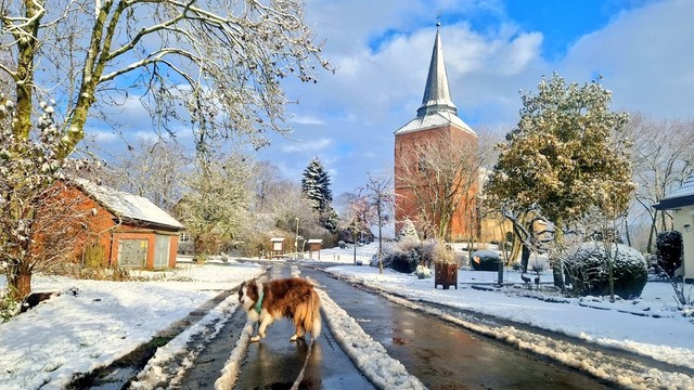 Hund im winterlichen Dorf