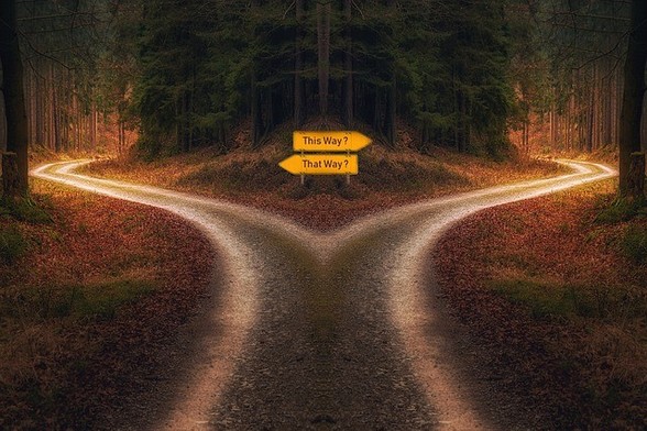 Dark fork in a forest road with signs saying "this way" and "that way" pointing in different directions.