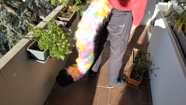Short video showing the motion and some close-up shots of the tail. It has long shaggy rainbow-colored faux fur running along the upper half of the tail, and black fur on the bottom and on the tip.