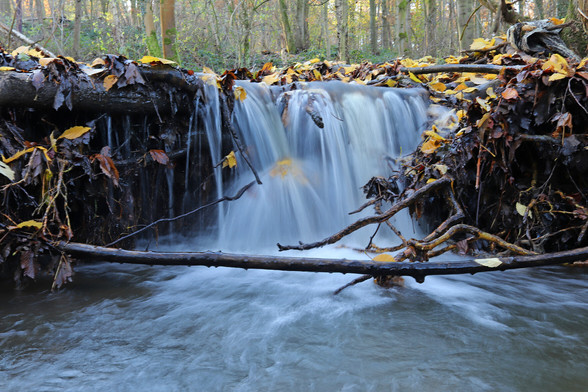 a small cascade of water on a woodland stream taken with a long exposure to capture the motion of the water