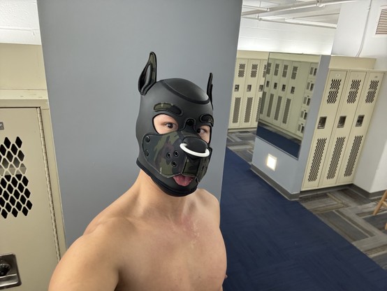 A hooded doggo with tongue out in a locker room