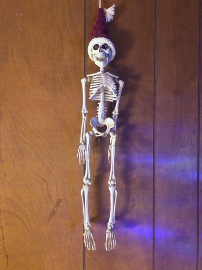 A roughly two foot tall plastic skeleton hanging on a wood grain wall by a string. The skeleton is wearing a hand knit “santa” hat with a white garter stitch brim and white tassel, the string that the skeleton hangs by goes up through the top of the hat, holding it erect on the skeleton’s head