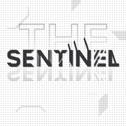 A white background with a grid of dots, with abstract, sharp angled shapes floating around, with "THE SENTINEL" words centered, with a slight reflection showing.