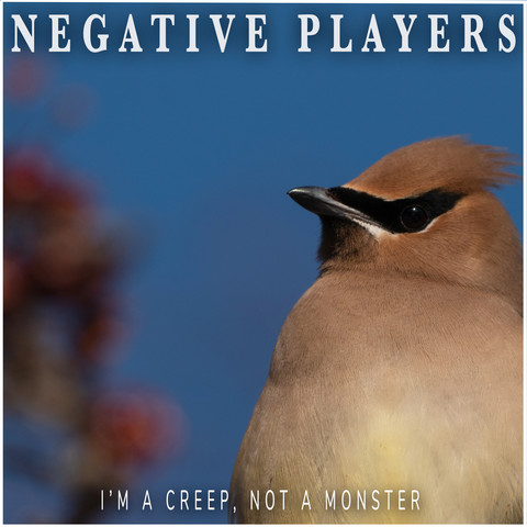 Album cover featuring a bird