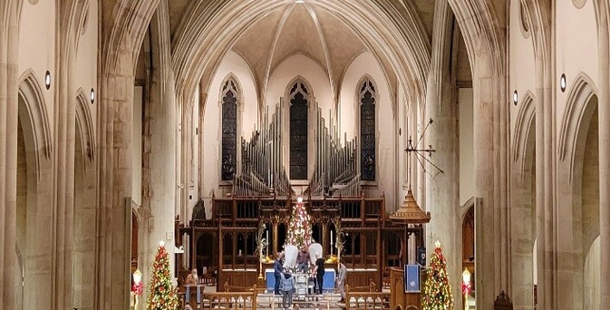 Interior view of the Cathedral sanctuary with decorated holiday trees at the front.