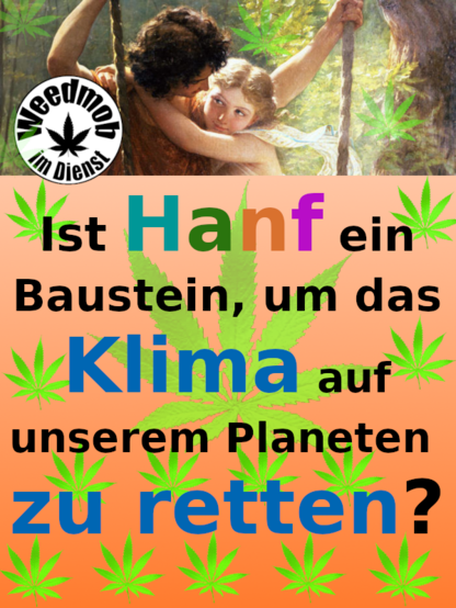Menschenrettung mit Hanf?