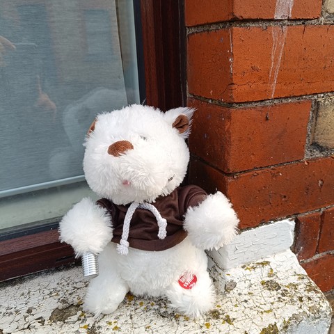 A plush toy polar bear sits on a windowsill. It is wearing a brown t-shirt.