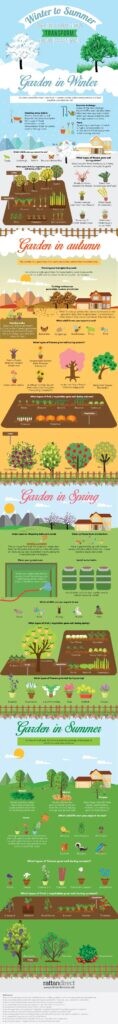 Infographic - Winter to Summer: How Does Your Garden Transform During These Months