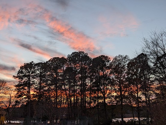 Photo of a calm November late afternoon sky. Sky is deepening blue with scattered wispy clouds tinted orange by the setting sun. A stand of loblolly pine trees is silouetted in the foreground.