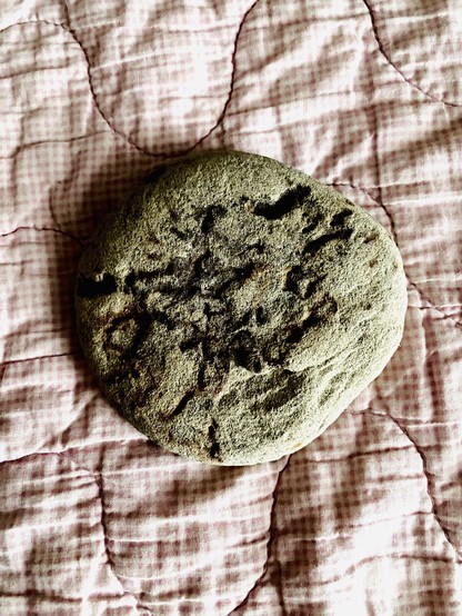 A rough, circular, flat stone, about the size of a big cookie from a café. The top is deeply scored with a seaweed pattern.