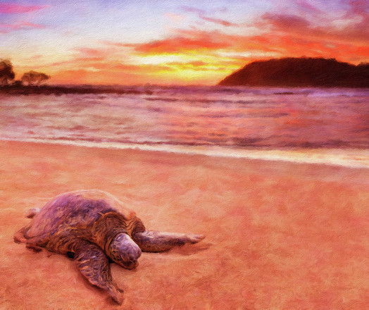 Digital painting of a sea turtle on the beach in Kauai at sunrise