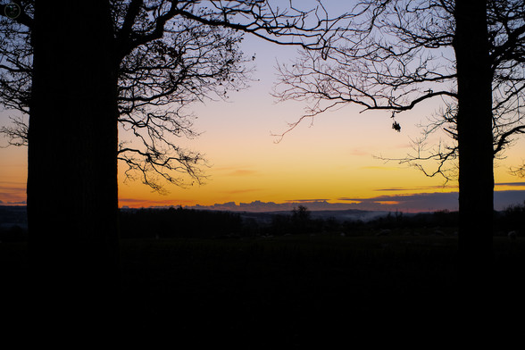 Pale yellow to orange sunset framed by silhouetted trees and farmland