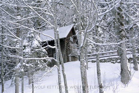 This colour landscape photograph shows in wooden cabin set—hidden almost—amongst deciduous and evergreen trees. The ground is covered in deep snow, as are the roof of the building and the branches of the trees.