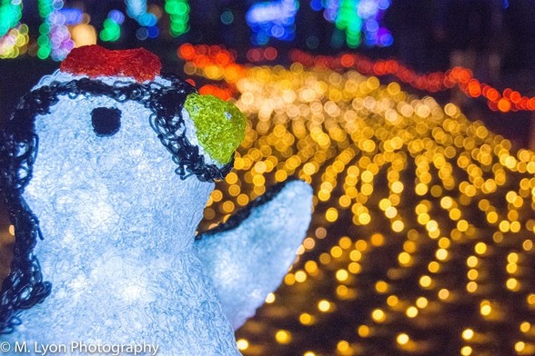 Christmas illuminations with a penguin character
