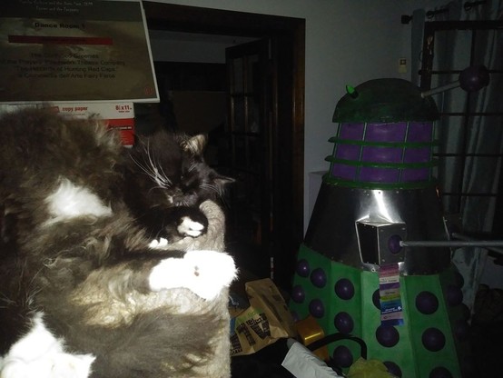 A Mainecoon mix cat sleeps on top of a cat climbing tower in an urban living room in front of a green & purple parody Dalek from "Doctor Who".