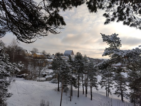 Edelfeltinmännyn luota Isolta Linnamäeltä otettu kuva sen lumiseen laaksoon, ja taustalla siintää Vanha Porvoo, kirkko keskellä kuvaa. Edessä vanhoja mäntyjä.