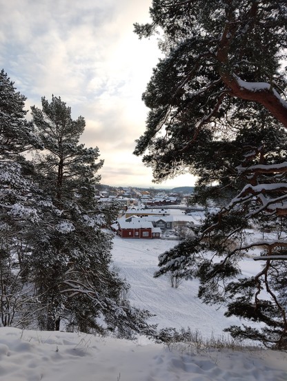 Isolta Linnamäeltä otettu kuva laaksoonsa sekä Vanhaan Porvooseen. Vanhoja puutaloja, kuulut ranta-aitat jne. Maisema on luminen, edessä vanhoja mäntyjä.