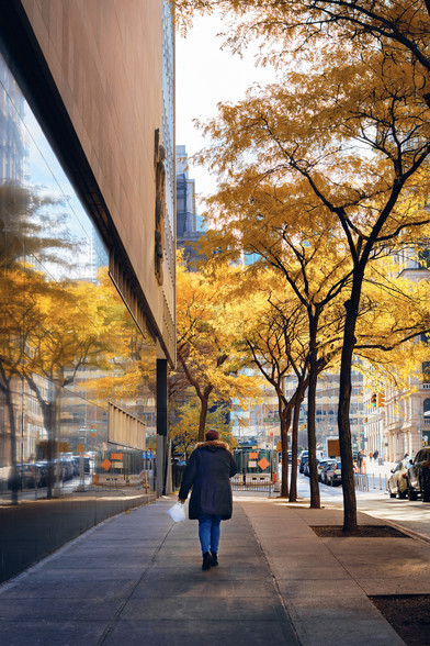 A person walks down a sidewalk, lined on the right with trees with golden yellow leaves. On the left, a polished marble side of a building reflecting the trees.

The person is wearing a puffy black coat with a fur lining, blue jeans, and black sneakers. They are carrying a white plastic bag filled with a rectangular item.

In the distance, tall buildings and skyscrapers.

The light from the sky illuminates the trees in fantastic soft light.