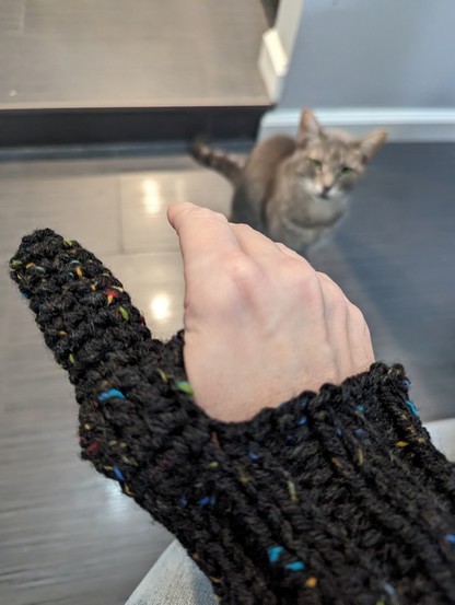 A knitted wristband with a crocheted thumb attached. There is a gray cat in the background