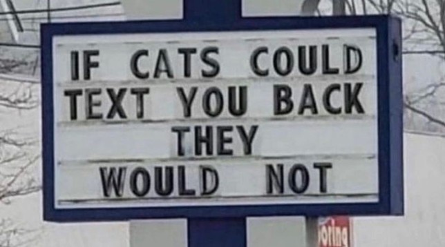 Marquee sign reads â€�IF CATS COULD TEXT YOU BACK THEY WOULD NOTâ€�