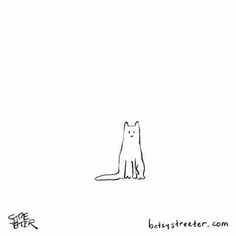 Hand drawn animation of a cat watching a ball bounce over their head
