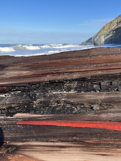 A piece of driftwood with an unusual streak of red color dominates this scene. In the background, Pacific Ocean waves crash into the shore in Redwood National and State Parks.