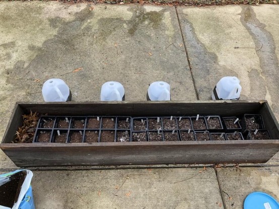 Winter sowing setup this year