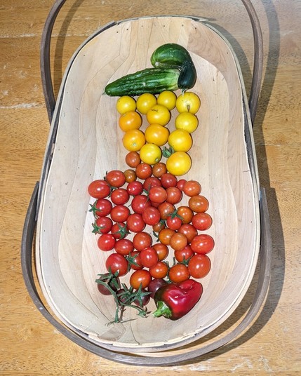 Cherry tomatoes, heirloom cucumber and a capsicum.
