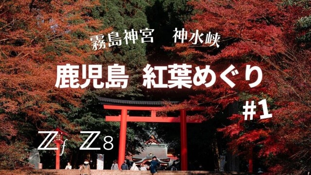 Z8 & Zf ã�§ é¹¿å…�å³¶ ç´…è‘‰ ã‚�ã��ã‚Š 1ã€€Kagoshima Japan Travel Driving   4K