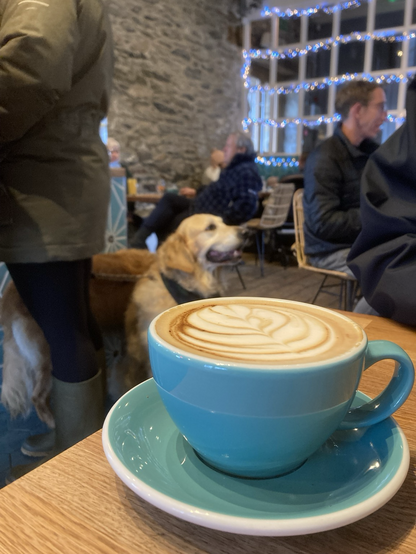 Cup of Coffee with a golden retriever in the background.