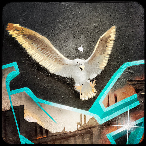 A colour Hipstamatic photo of a piece of street art showing an eagle soaring over a building